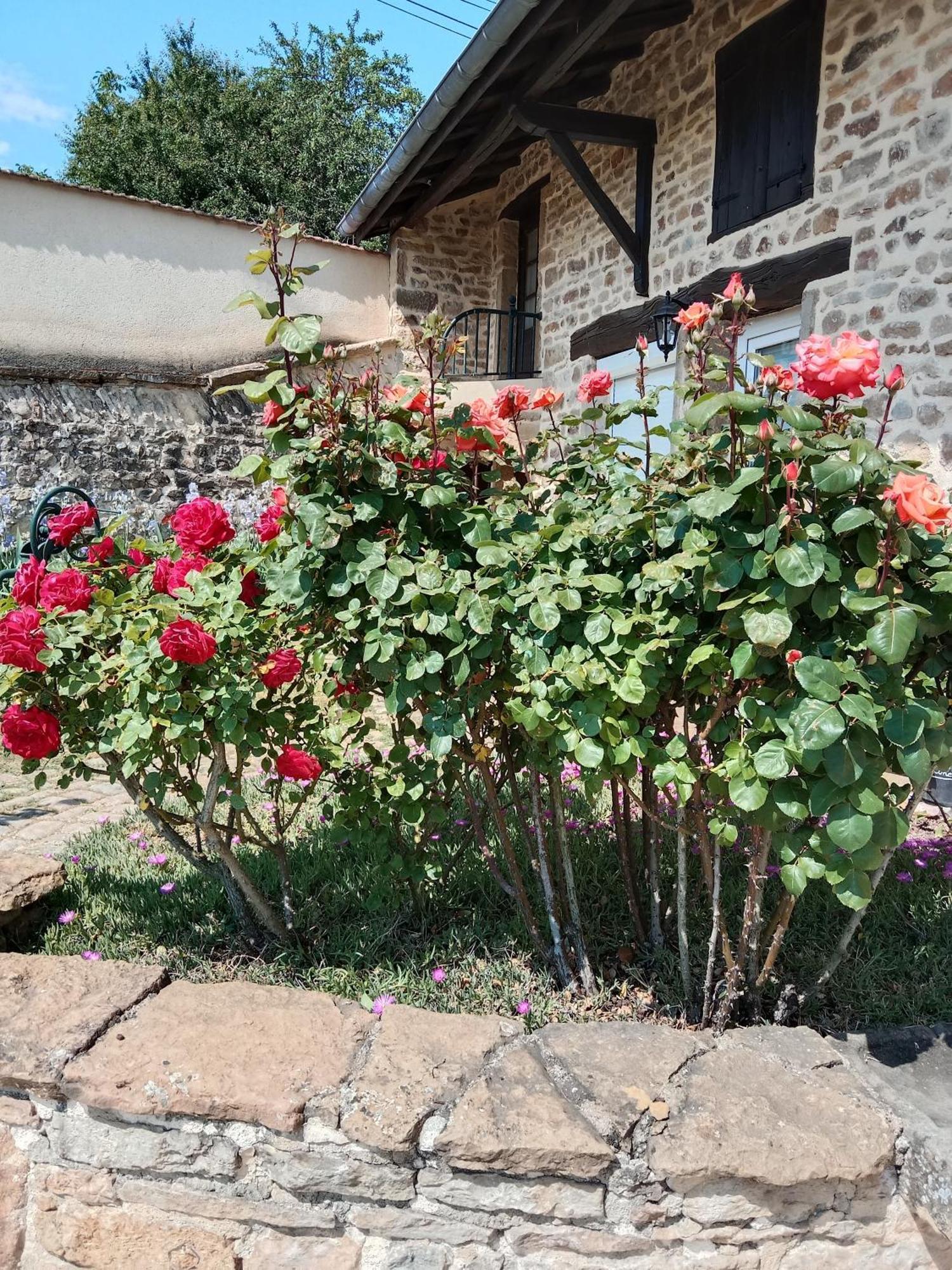 L Olivier De St Leger Bed & Breakfast Chateau  Exterior foto
